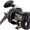 Abu Garcia C3 Striper Special Round Baitcasting Reel - Black -Lunker Landing abu garcia c3 6500stpspc22 c3 striper special round baitcast reel 44127.1673702428