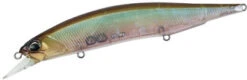 Duo Realis Jerkbait 120SP - Ghost Minnow