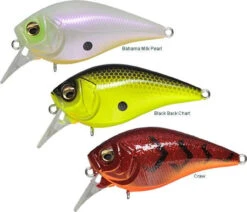 Megabass FX Knuckle 60 -Lunker Landing megabass fx knuckle 60 35693.1650936784